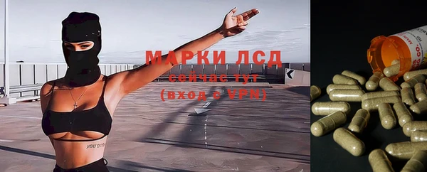 spice Абаза