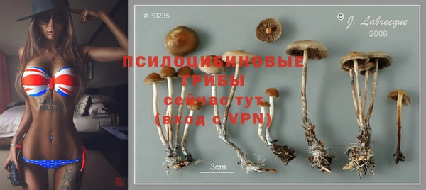 хмурый Абинск