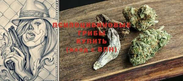 соль ск Алзамай